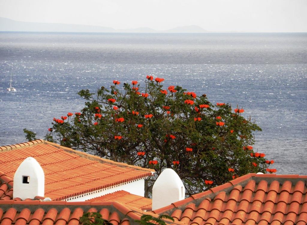 La Gomera - Jardin Tecina - 2014